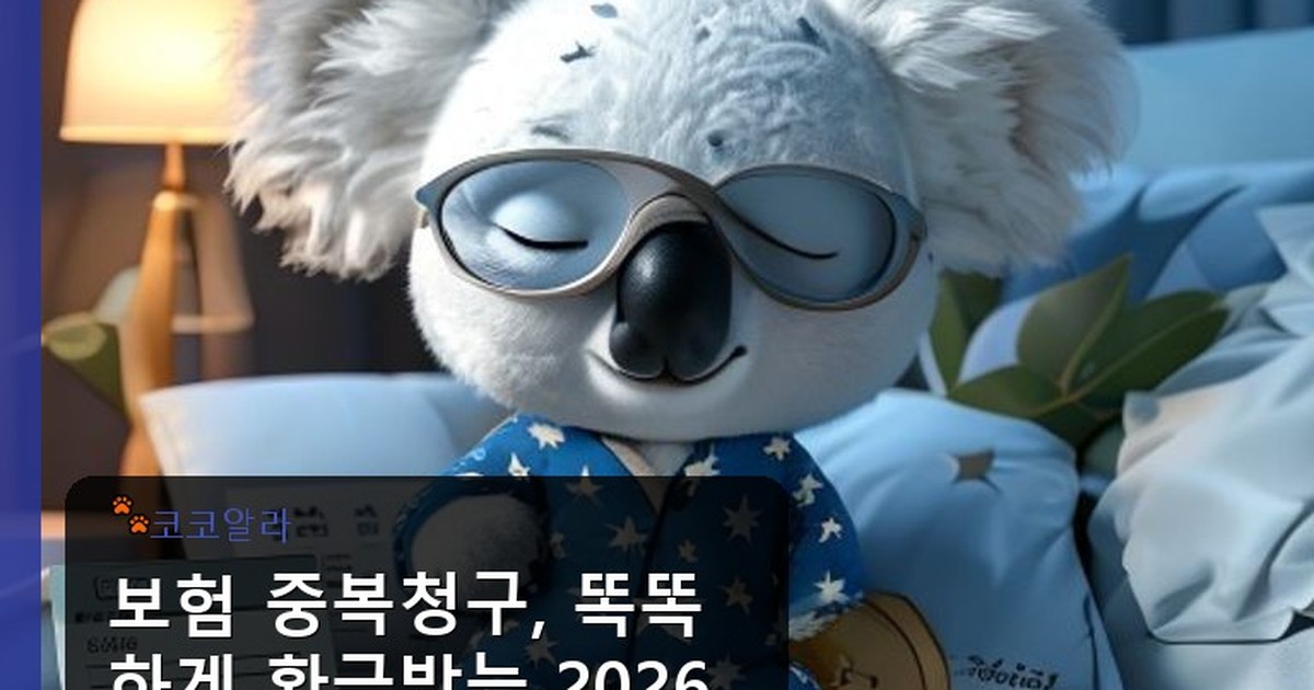 보험 중복청구 - invest.aaa12a.co.kr 캐릭터