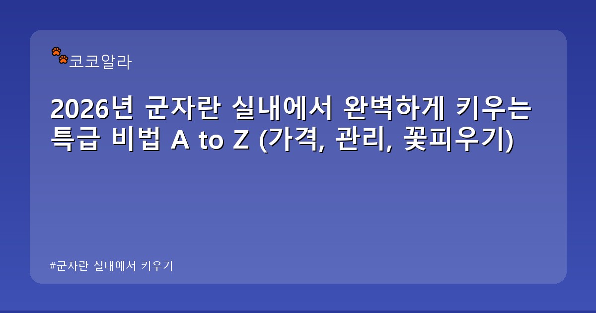 군자란 실내에서 키우기 - invest.aaa12a.co.kr 캐릭터