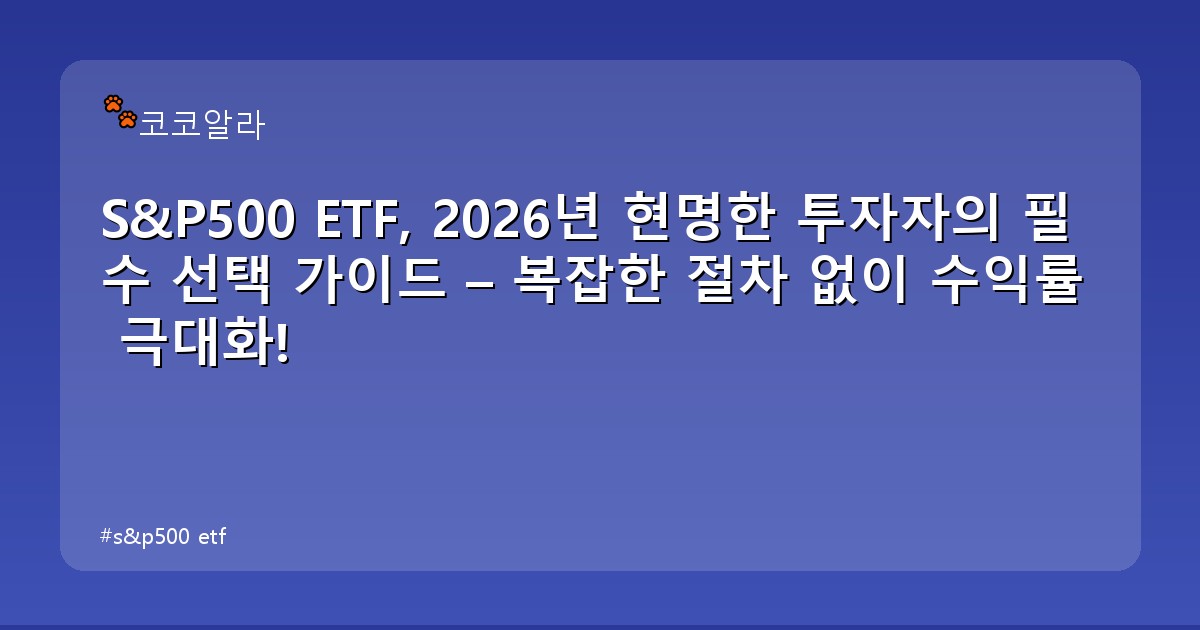 s&p500 etf - invest.aaa12a.co.kr 캐릭터