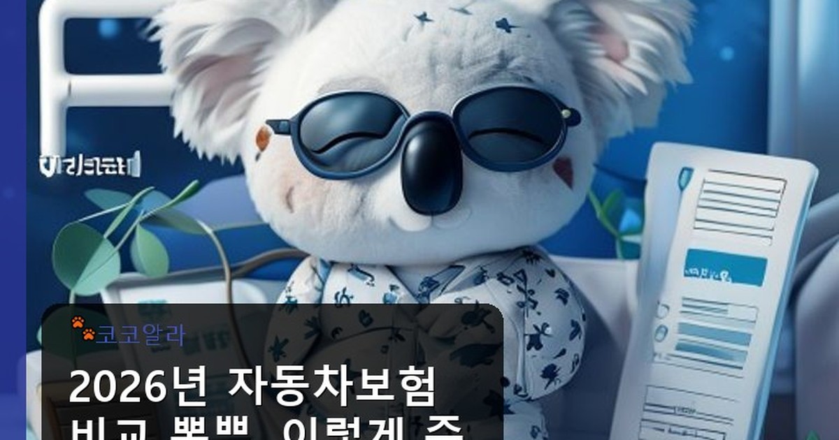 자동차보험 비교 뽐뿌 - invest.aaa12a.co.kr 캐릭터
