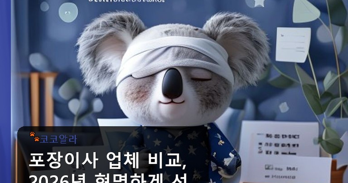 포장이사 업체 비교 - invest.aaa12a.co.kr 캐릭터